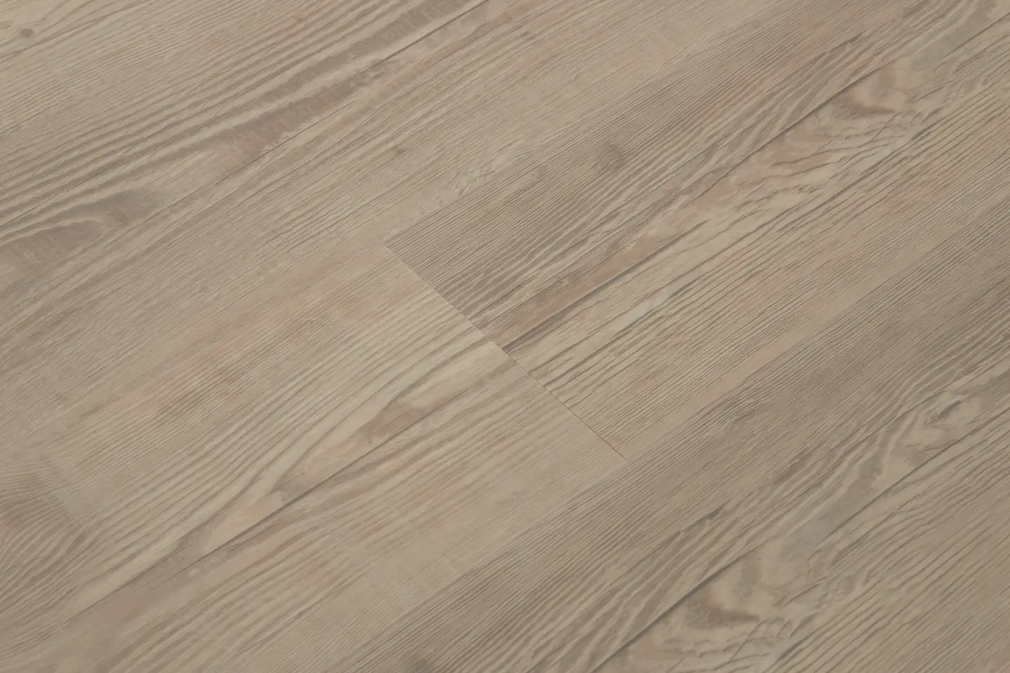 Brigantine Pine view 1